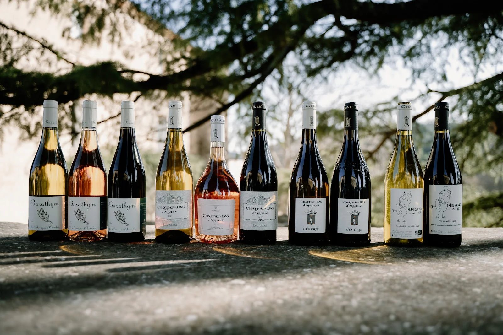 Gamme complète des vins du Château Bas d'Aumelas, rouge rosé blanc, domaine viticole en Hérault