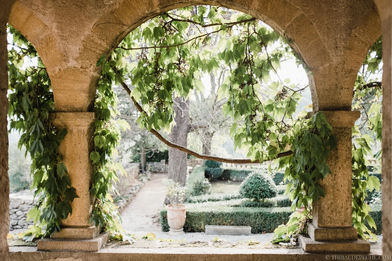 Jardin à la française du Château Bas d'Aumelas encadré par des arches en pierre couvertes de vigne, mariage Hérault