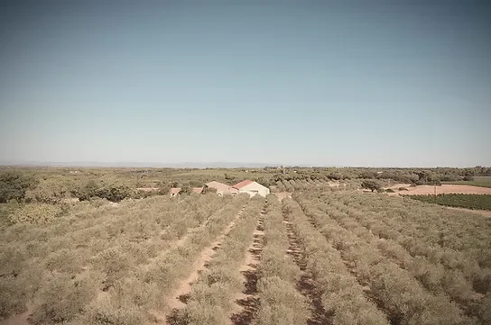 Vue aérienne du Château de Coussergues et son domaine viticole en Hérault, paysage méditerranéen