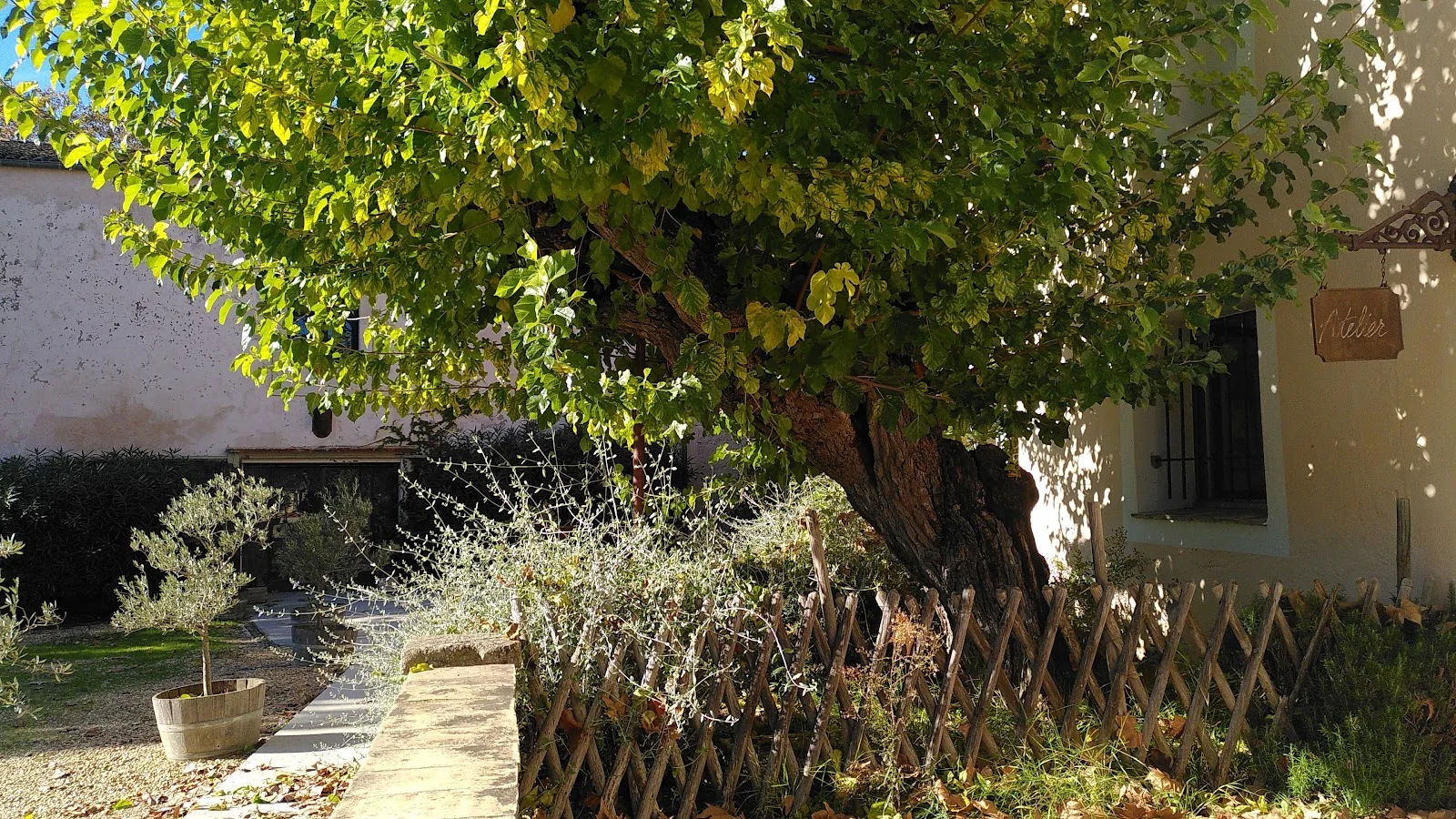 Allée de jardin d'automne au Château La Banquière Hérault avec grand arbre et clôture bois pour mariage