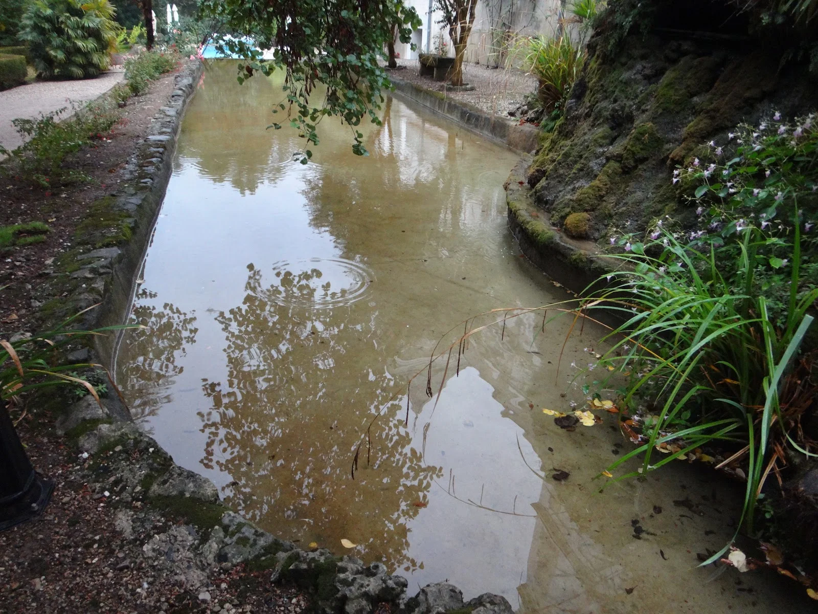 Grand bassin rectangulaire avec reflets du jardin du Château Mallet, mariage Hérault