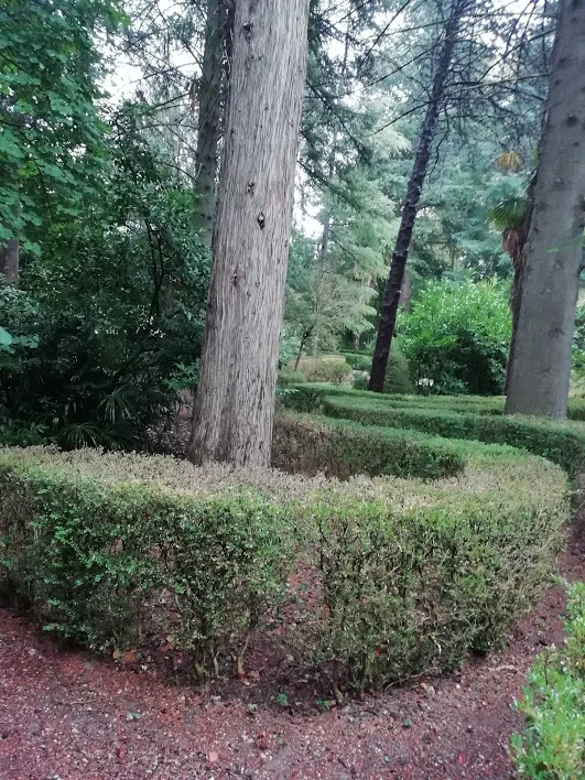 Allées de buis taillés dans le jardin du Château Mallet pour mariage dans l'Hérault
