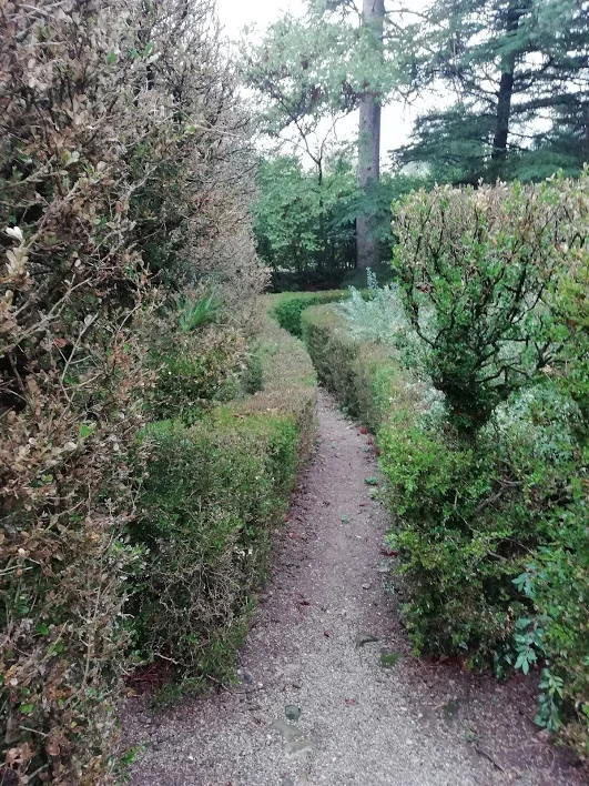 Sentier sinueux entre les haies du jardin du Château Mallet dans l'Hérault