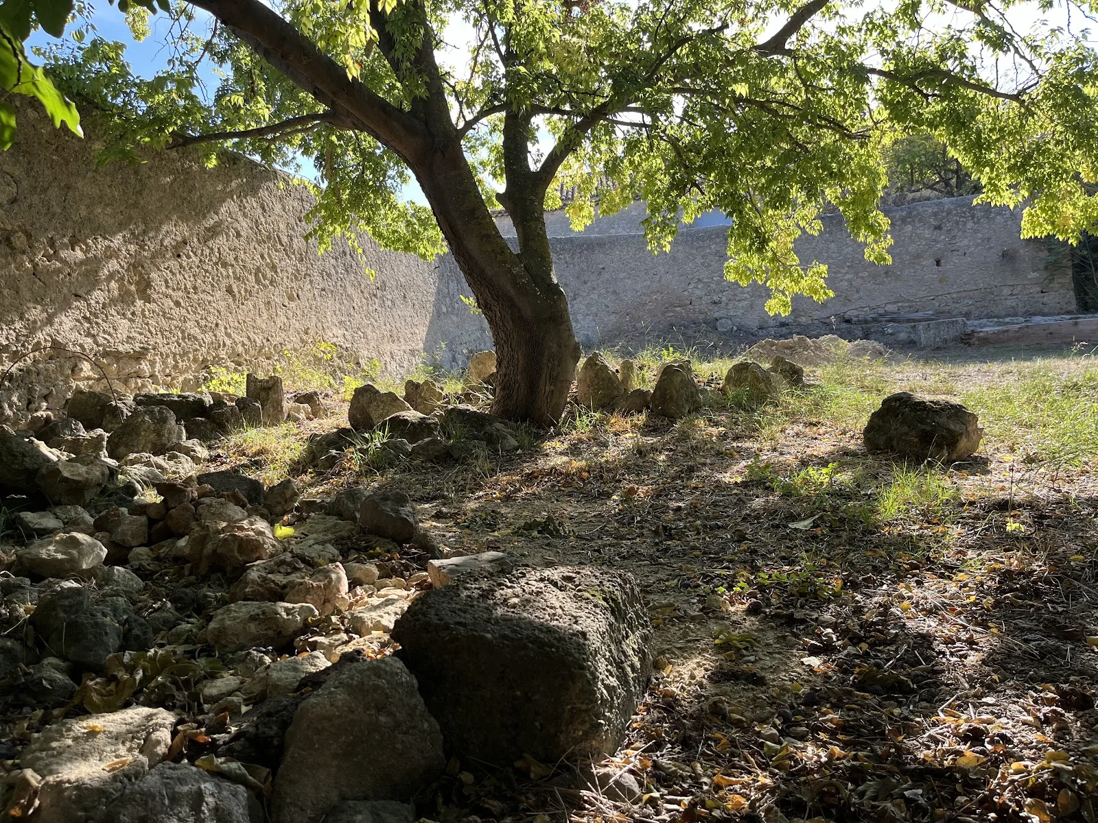 Jardin authentique avec mur de pierres anciennes et arbre en automne au Château Périès en Hérault