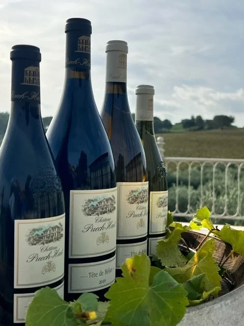 Bouteilles de vin Château Puech-Haut cuvée Tête de Bélier 2018 devant le vignoble en Hérault pour réception mariage