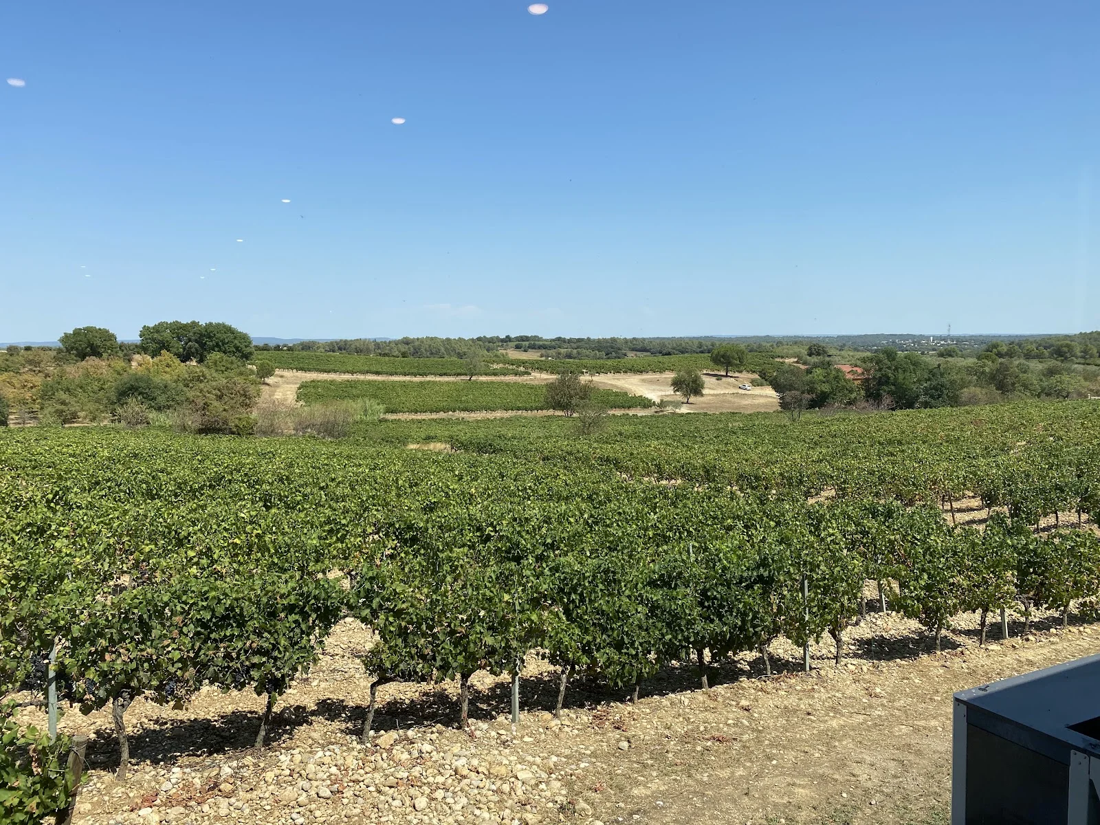 Panorama sur le vignoble du Château Puech-Haut en Hérault sous ciel bleu, domaine viticole pour mariage en Languedoc