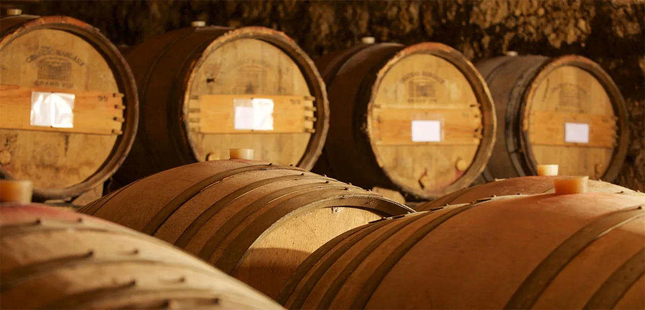 Cave à vin, fûts de chêne, ambiance sombre, Château Rieutort Saint-Pargoire, mariage Hérault Occitanie