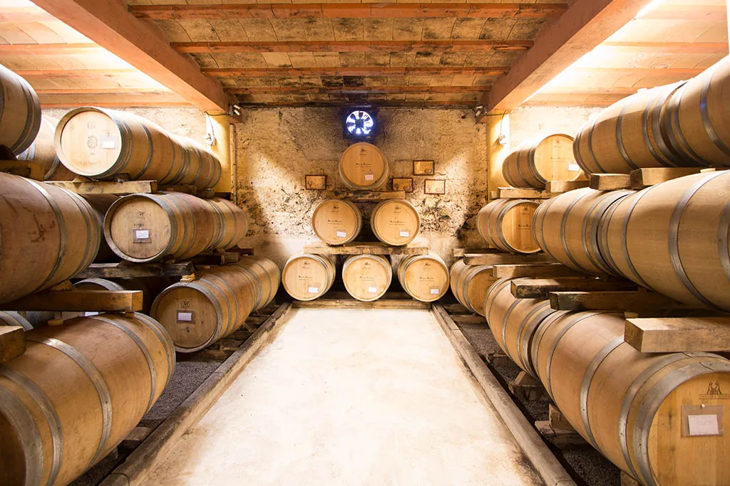 Cave à vin voûtée, barriques bois, ambiance authentique Château Rieutort Saint-Pargoire séminaire Hérault Occitanie
