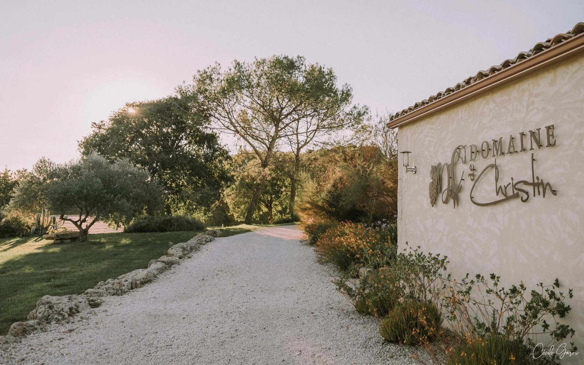 Entrée du Domaine de Christin au coucher du soleil avec allée de gravier et végétation méditerranéenne en Hérault