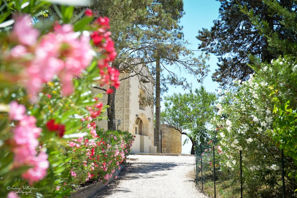 Tour en pierre historique du Domaine de Christin encadrée de lauriers-roses en fleurs en Hérault