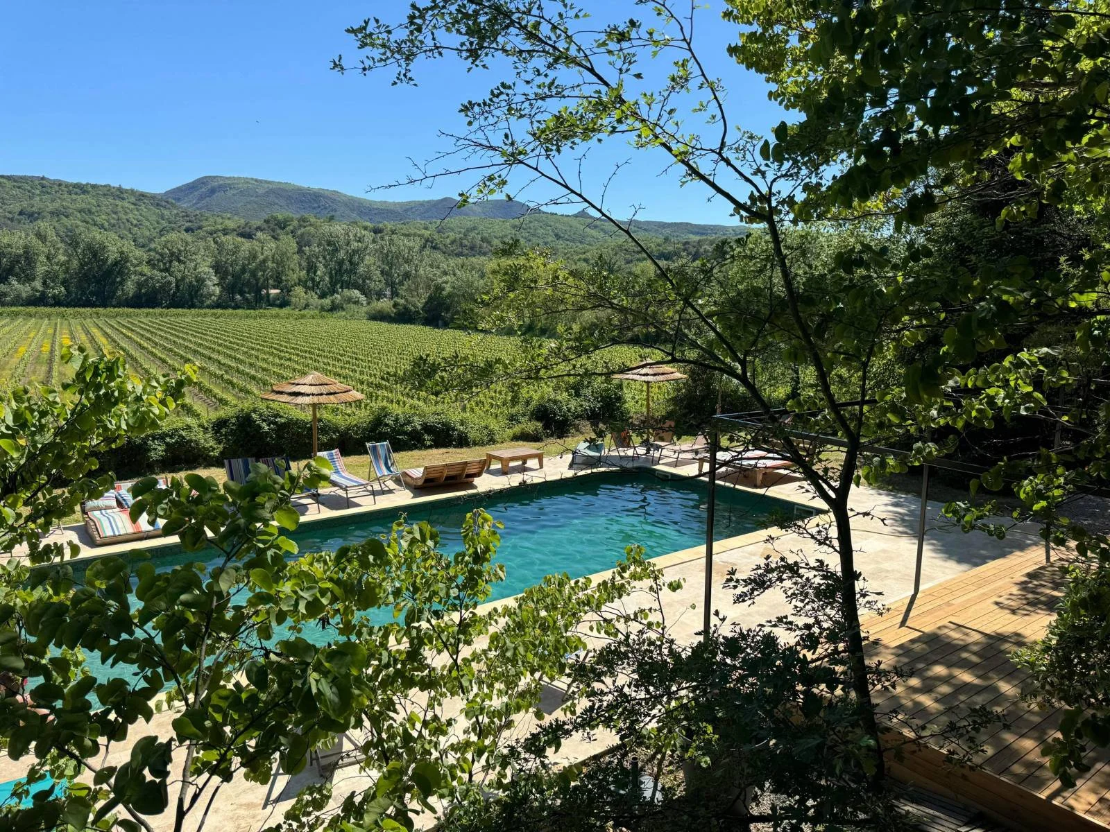 Domaine de Coubillou - piscine avec vue panoramique vignes et collines