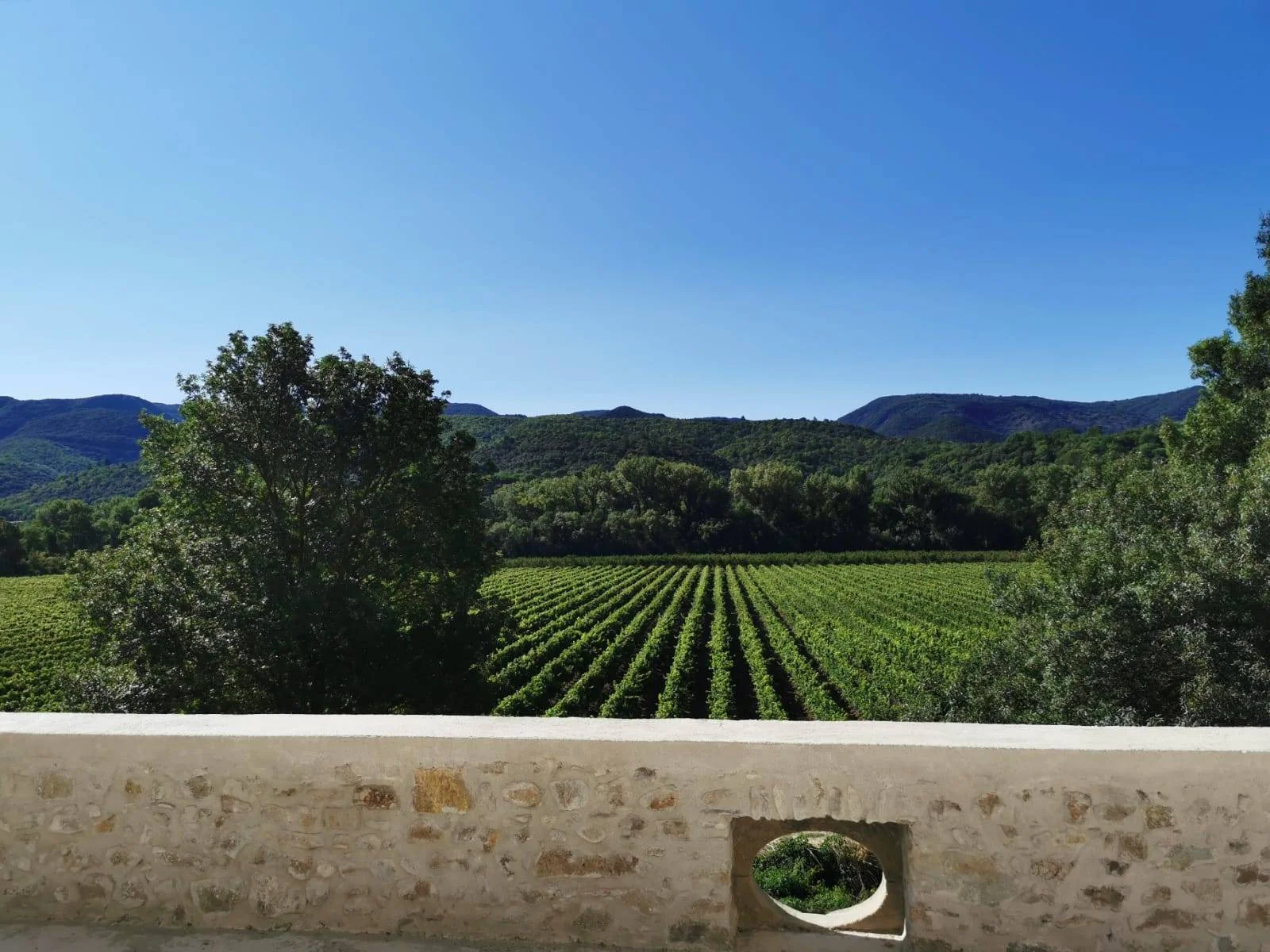 Domaine de Coubillou - vue panoramique vignes et collines depuis terrasse