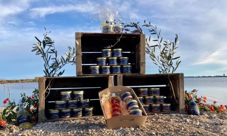 Présentation de produits locaux terrines et conserves sur caisses bois en bord d'étang au Domaine de Fangouse Hérault