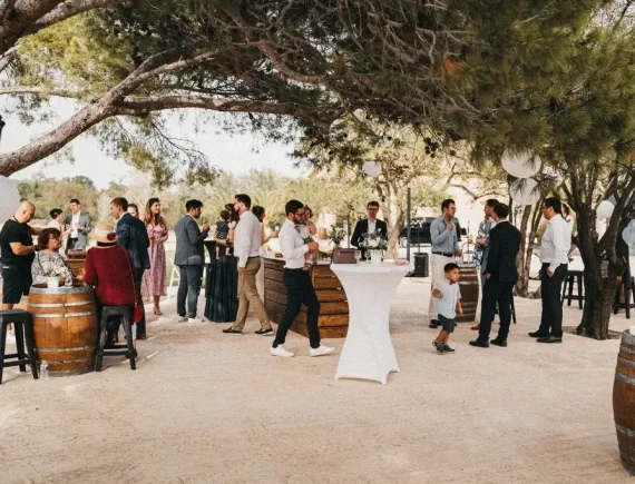 Domaine de l Ale - cocktail exterieur sous oliviers barriques