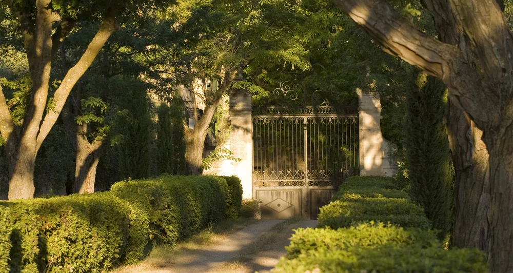 Allée ombragée et portail en fer forgé du Domaine de la Clapière, jardin de mariage en Hérault