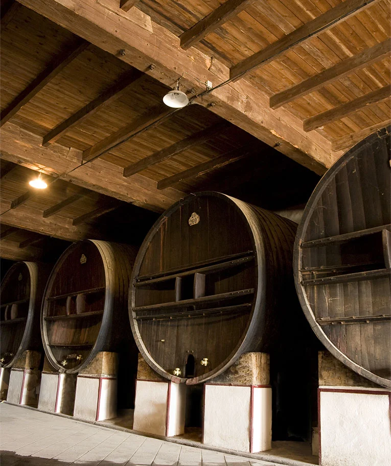 Cave vinicole avec grands foudres en chêne sous charpente bois au Domaine de la Clapière Hérault