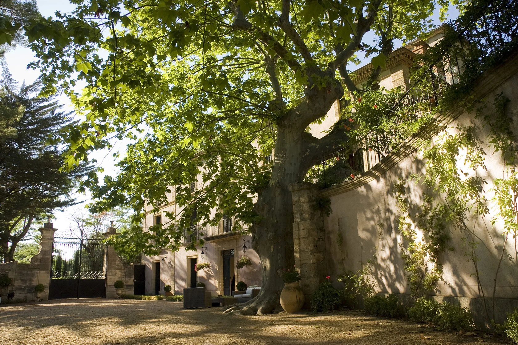 Façade du mas en pierre du Domaine de la Clapière sous un platane centenaire, lieu de mariage Hérault