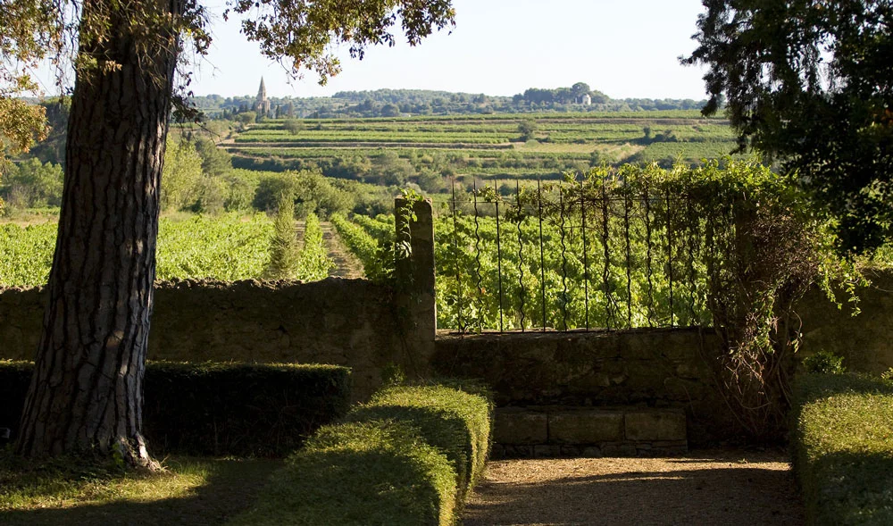 Jardin avec portail en fer forgé ouvrant sur le vignoble du Domaine de la Clapière, mariage en Hérault