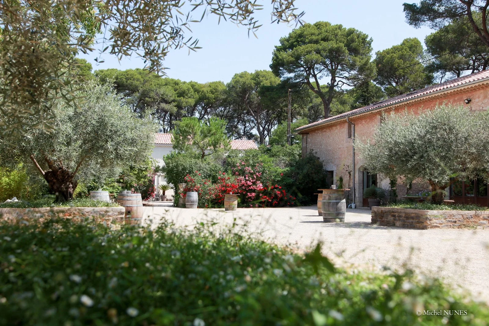 Domaine de la Grange Hérault - cour extérieure avec oliviers et bâtisse en pierre pour mariage en Languedoc
