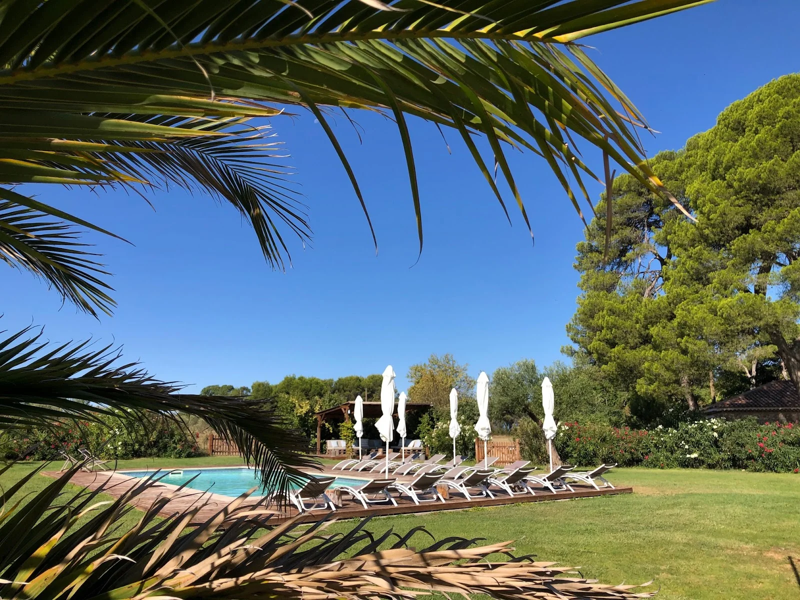 Piscine et jardin du Domaine de la Grange Hérault - transats et pelouse pour séjour mariage en Languedoc