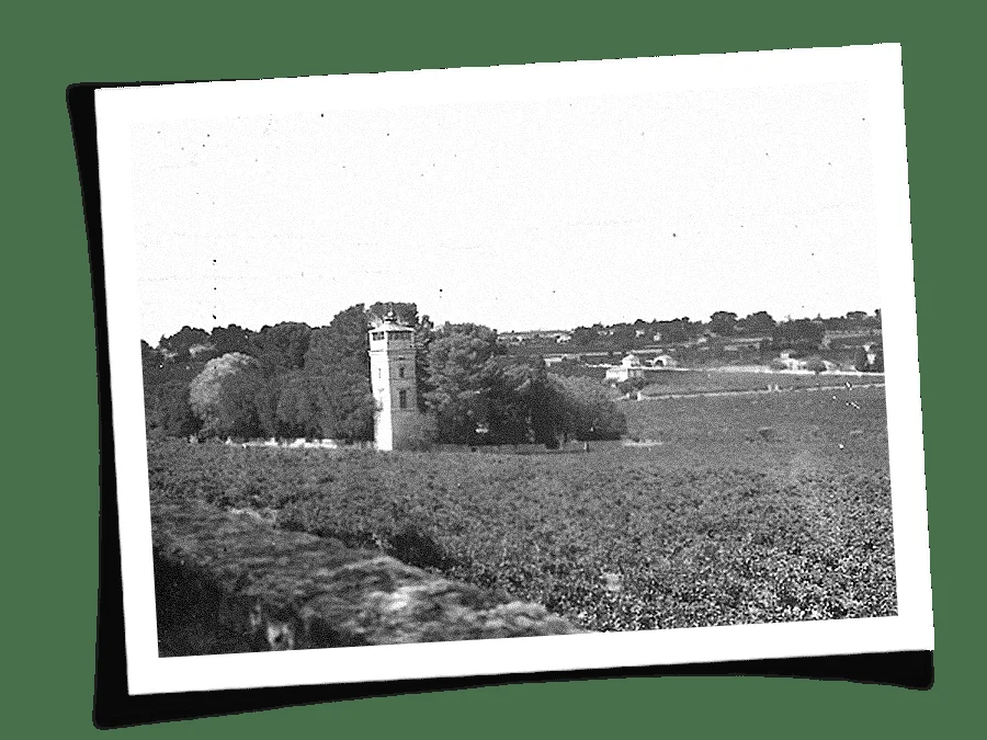 Photo ancienne noir et blanc de la tour du Domaine de La Tour Montpellier entourée de vignes, histoire du lieu mariage Hérault