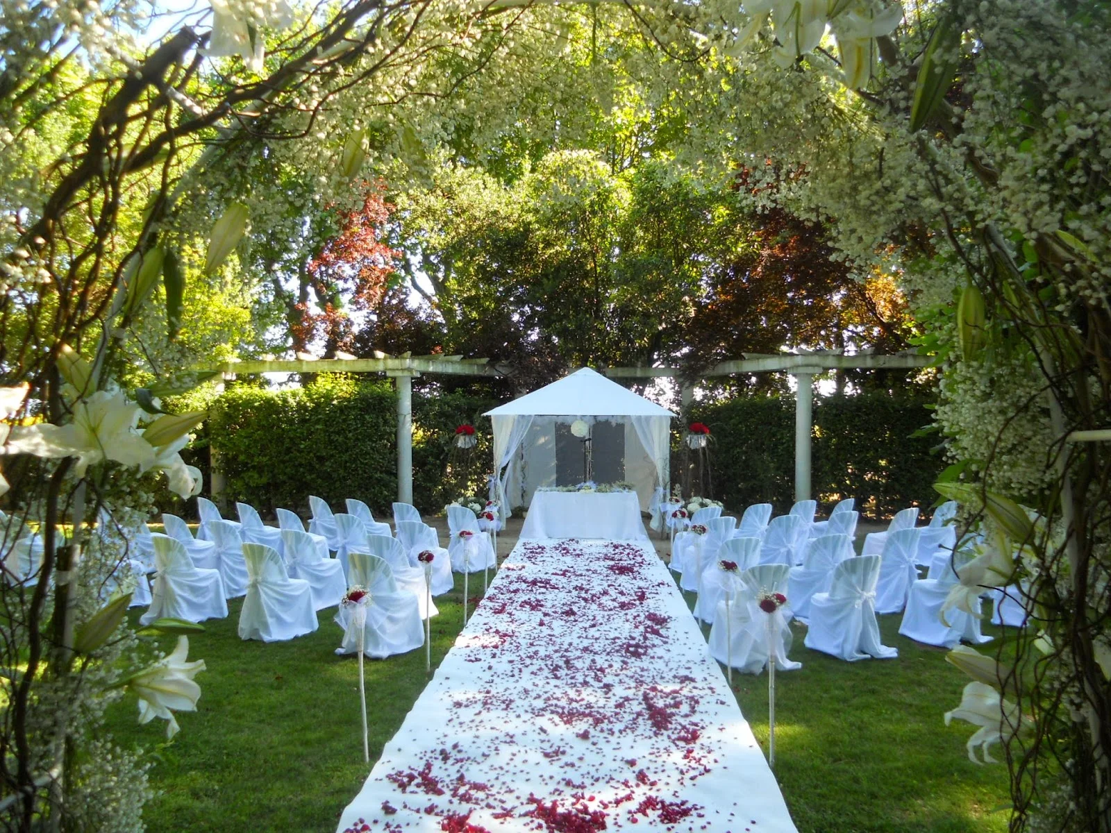 Cérémonie laïque extérieure au Domaine de l'Argentière avec allée de pétales de roses et pergola blanche, mariage Hérault