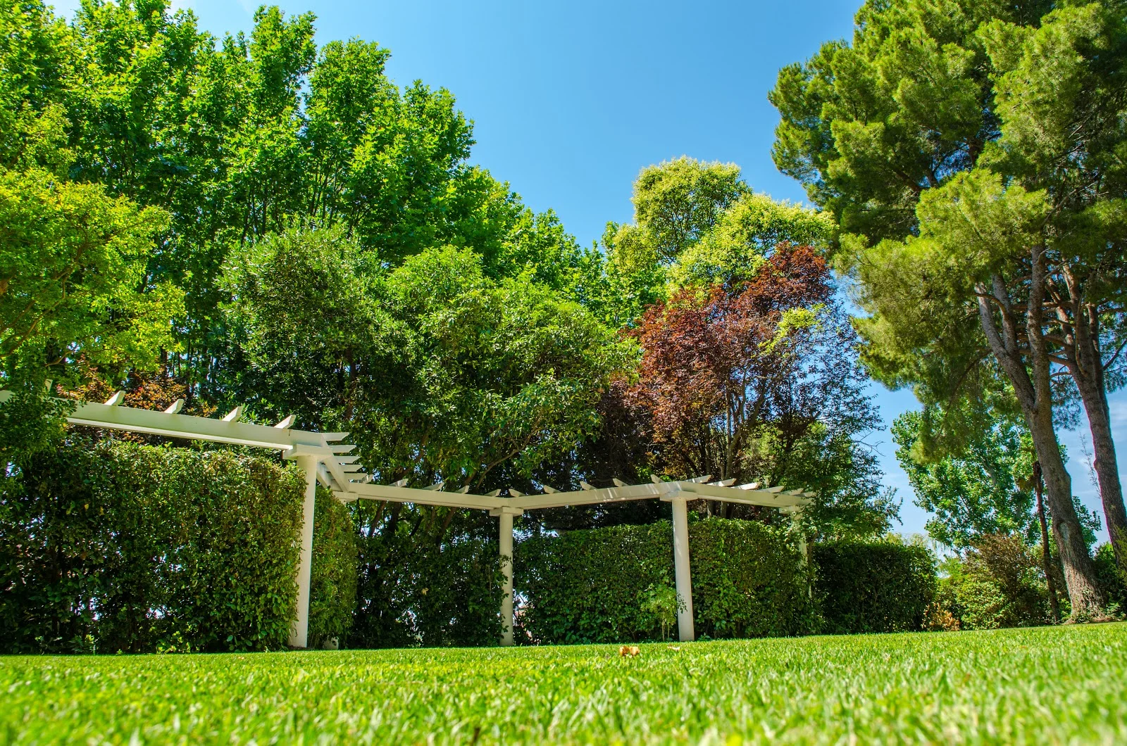 Pergola blanche sur pelouse verte du Domaine de l'Argentière, espace cérémonie et jardin pour mariage dans l'Hérault
