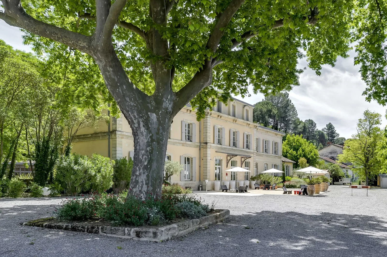 Façade de la bastide provençale du Domaine de l'Estelou avec grand platane - lieu de mariage dans l'Hérault