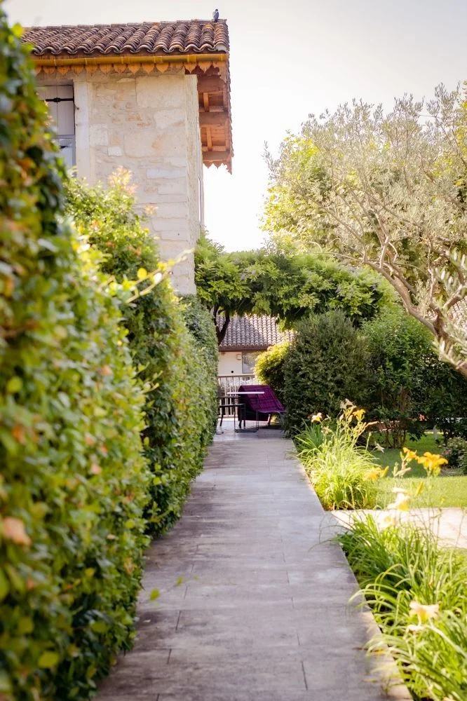 Allée de jardin avec haie taillée et oliviers menant à une terrasse du Domaine de Verchant, Hérault