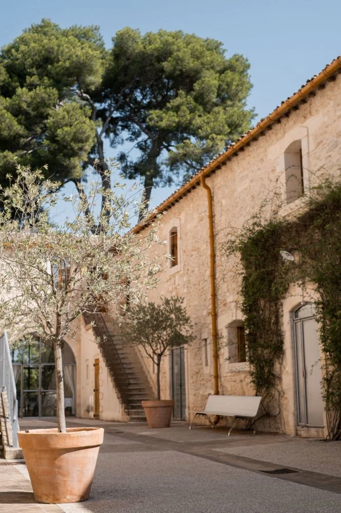Cour ensoleillée du Domaine de Verchant avec bâtiment en pierre, olivier et pins, mariage en Hérault