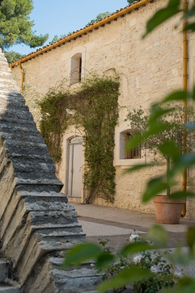 Façade en pierre calcaire du Domaine de Verchant avec plantes grimpantes dans la lumière dorée, Hérault