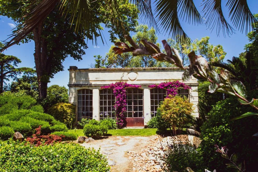 Orangerie à colonnes du Domaine de Verchant ornée de bougainvilliers violets dans le jardin tropical, Hérault