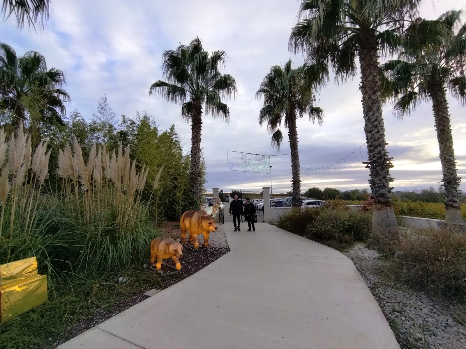 Allée d'entrée du Domaine des Laux Hérault bordée de palmiers et sculptures décoratives avec guirlandes lumineuses