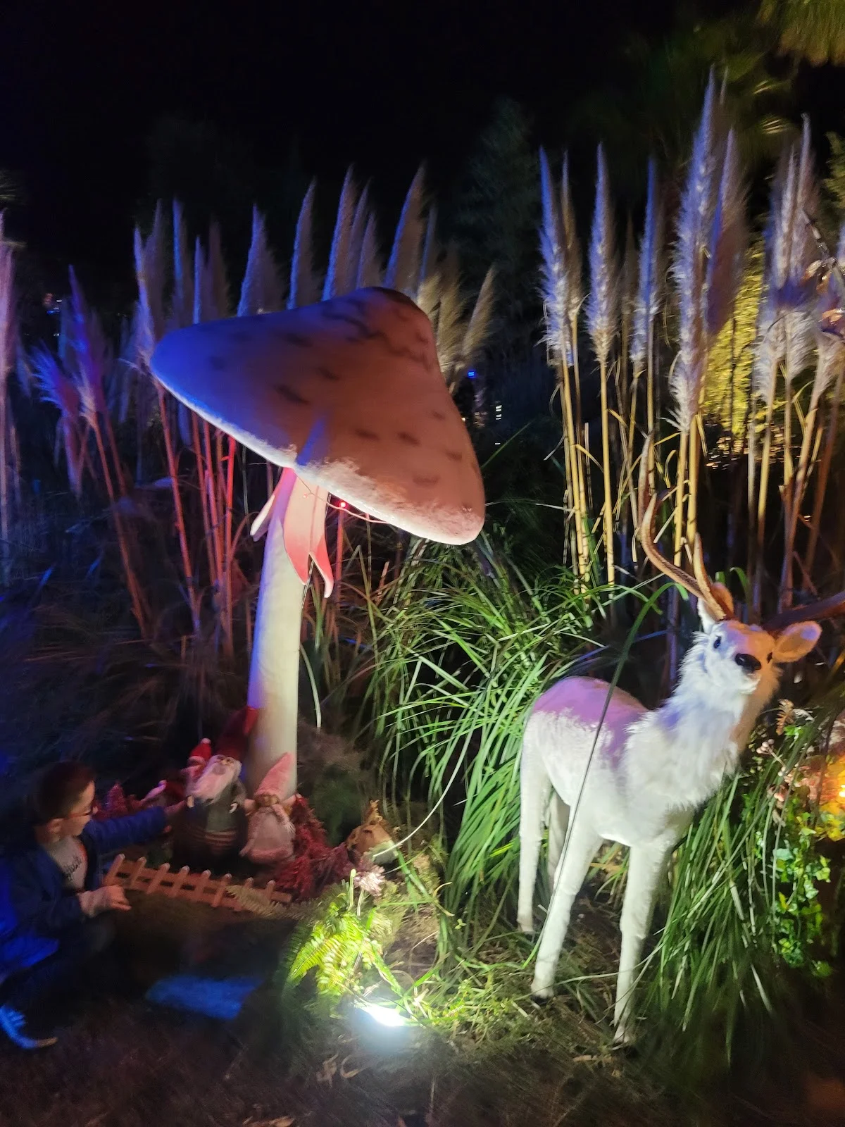 Décoration nocturne féerique du Domaine des Laux Hérault avec champignon géant illuminé et cerf blanc dans un jardin enchanté