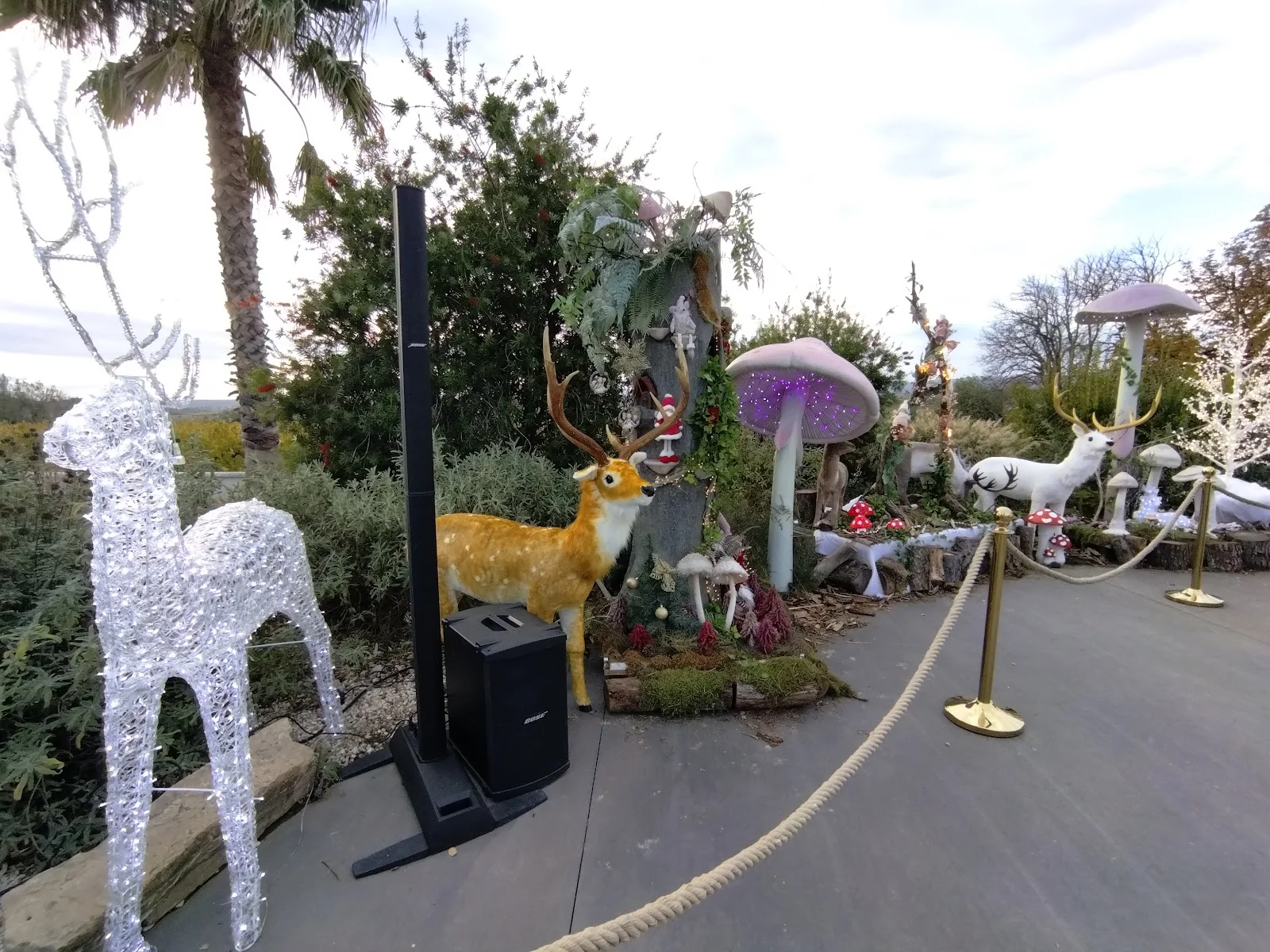 Décoration de Noël extérieure du Domaine des Laux Hérault avec cerfs lumineux et champignons géants colorés dans le jardin