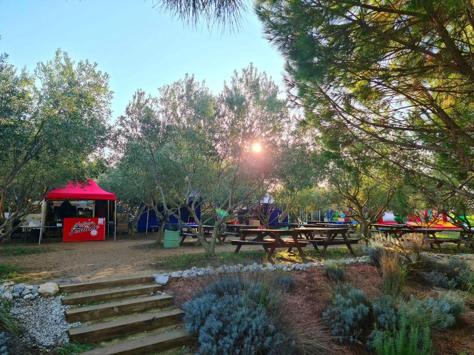 Jardin extérieur du Domaine des Laux Hérault avec oliviers centenaires et espace repas en plein air au coucher de soleil