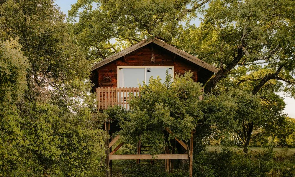 Cabane dans les arbres perchée sur pilotis avec balcon et baie vitrée au Domaine des Rives, Hérault
