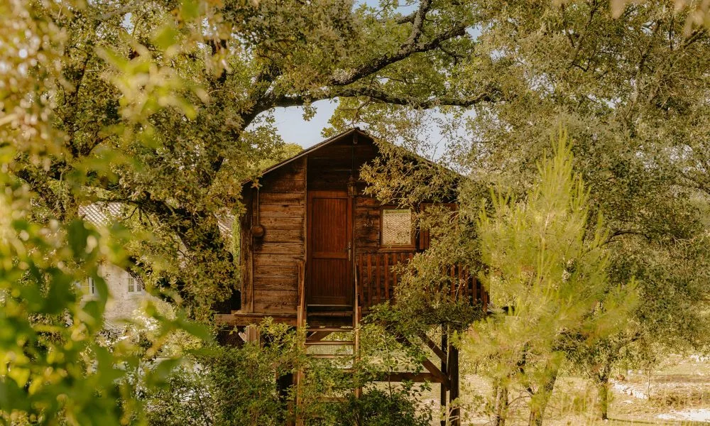 Cabane rustique dans les chênes avec escalier en bois vieilli au Domaine des Rives, hébergement insolite Hérault