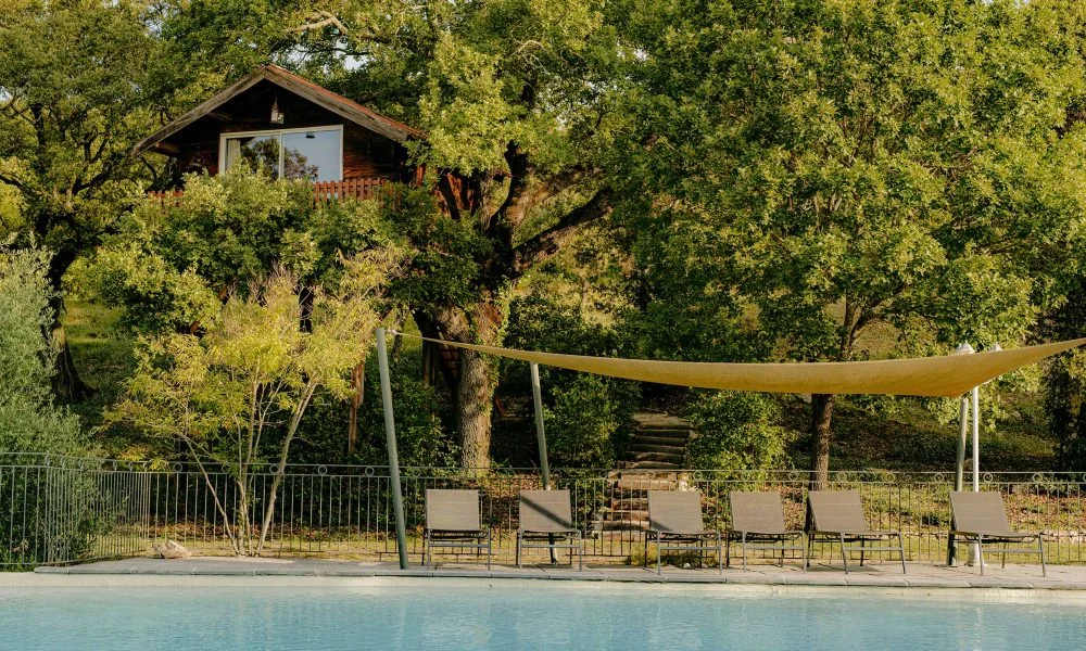 Piscine avec transats et voile d'ombrage au Domaine des Rives, cabane dans les arbres en arrière-plan, Hérault