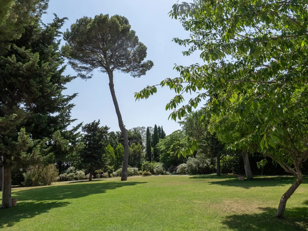 Parc arboré avec pin parasol et pelouse verte au Domaine Fon de Rey, domaine mariage Hérault