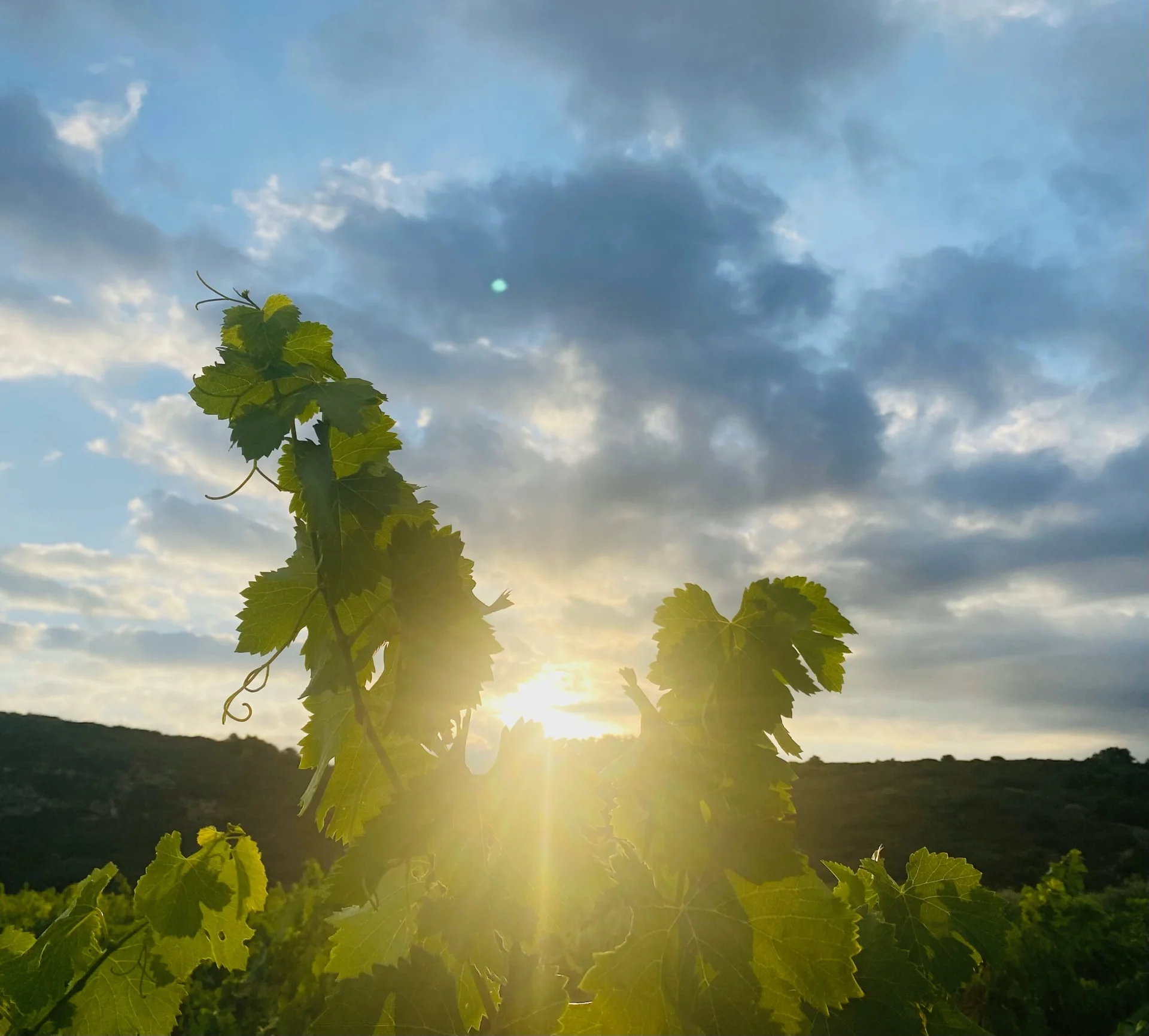 domaine-le-clos-d-elle-011-1