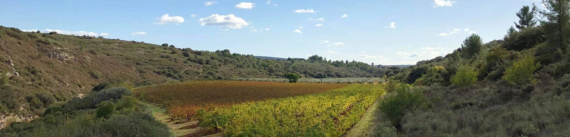 domaine-le-clos-d-elle-013-1