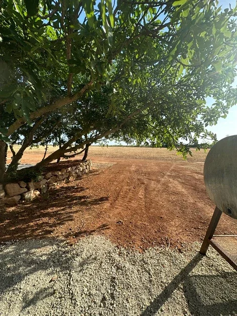 Allée ombragée avec lanternes longeant la façade en pierres du Domaine Les Barrettes Agde Hérault