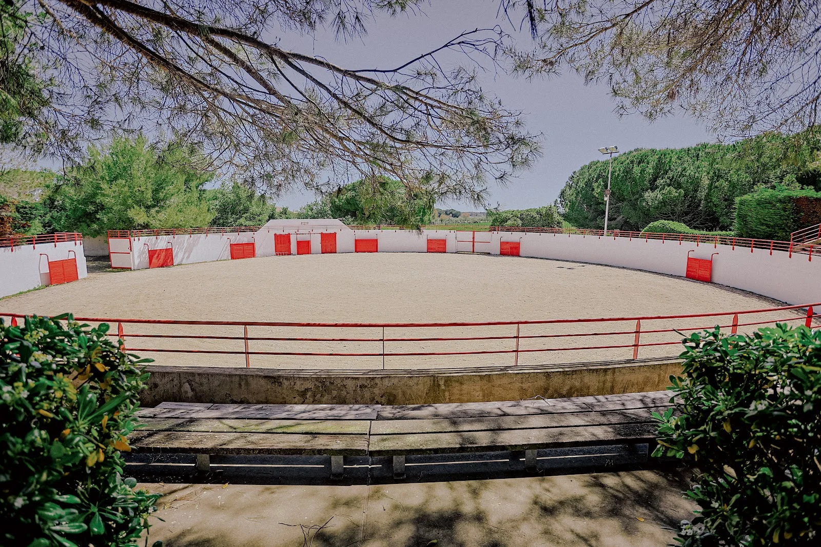 Arène camarguaise du Domaine Mas Saint Gabriel dans l'Hérault, espace spectacle équestre pour événements