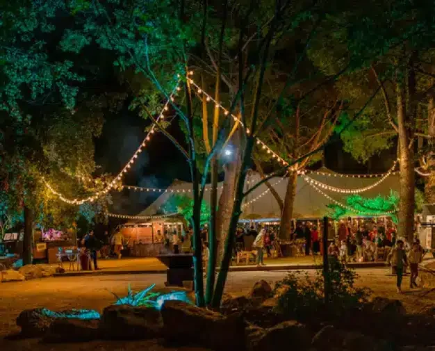 Fête de mariage nocturne sous les guirlandes lumineuses du Domaine Le Petit Malherbes, Hérault
