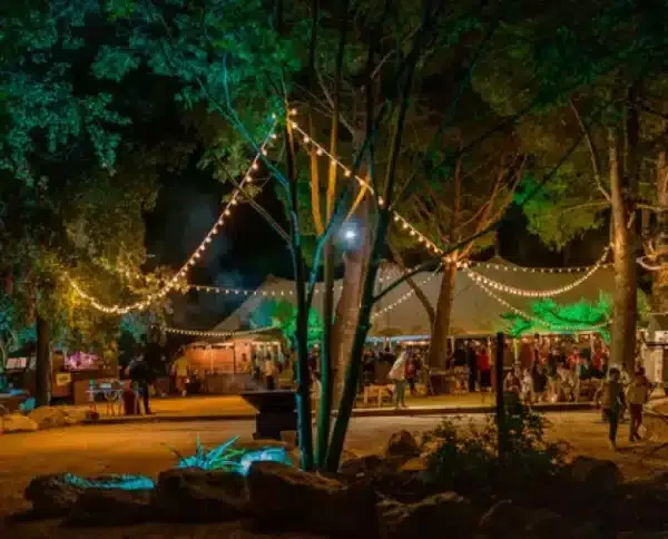 Mariés se reflétant dans la piscine nocturne du Domaine Le Petit Malherbes, photo de mariage romantique dans l'Hérault