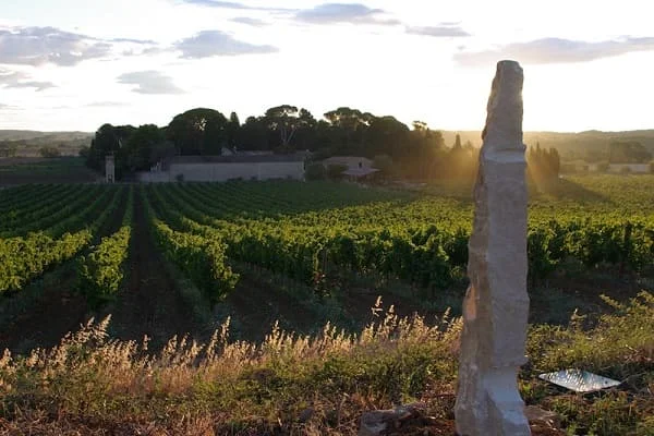 Vue depuis les vignes au coucher de soleil sur le Domaine Saint Hilaire avec stèle en pierre, Hérault