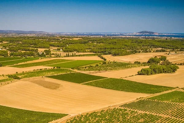 Vue aérienne des vignes du Domaine Saint Hilaire en Hérault avec la Méditerranée et Sète en arrière-plan