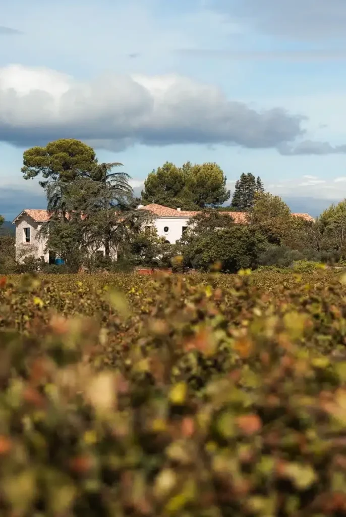 Bâtisse traditionnelle vignoble verdoyant ciel nuageux Domaine Saint Jean de Roca Nizas mariage Hérault Occitanie