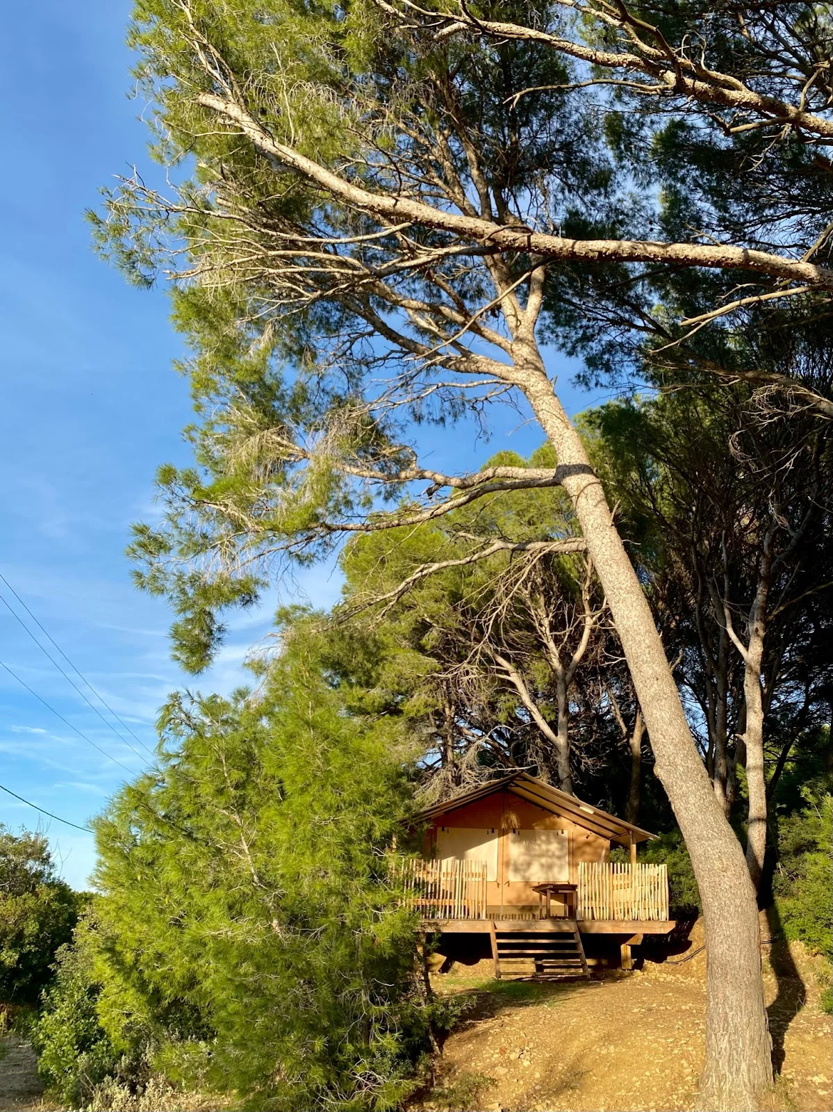 Cabane en bois sur pilotis avec terrasse entourée de pins au Domaine Saint Paul le Marseillais, hébergement insolite mariage Hérault
